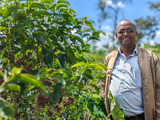 Farm Stories: Setame, by Nguisse Nare