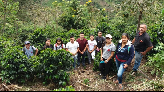 Farm Stories: Federacion Abades, Narino, Columbia