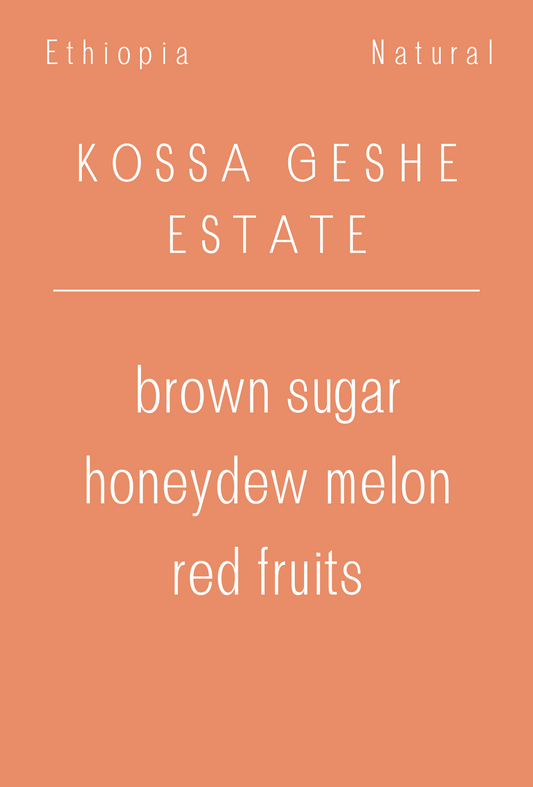 Ethiopia - Abdulwahid Sherif, Kossa Geshe Estate | Natural