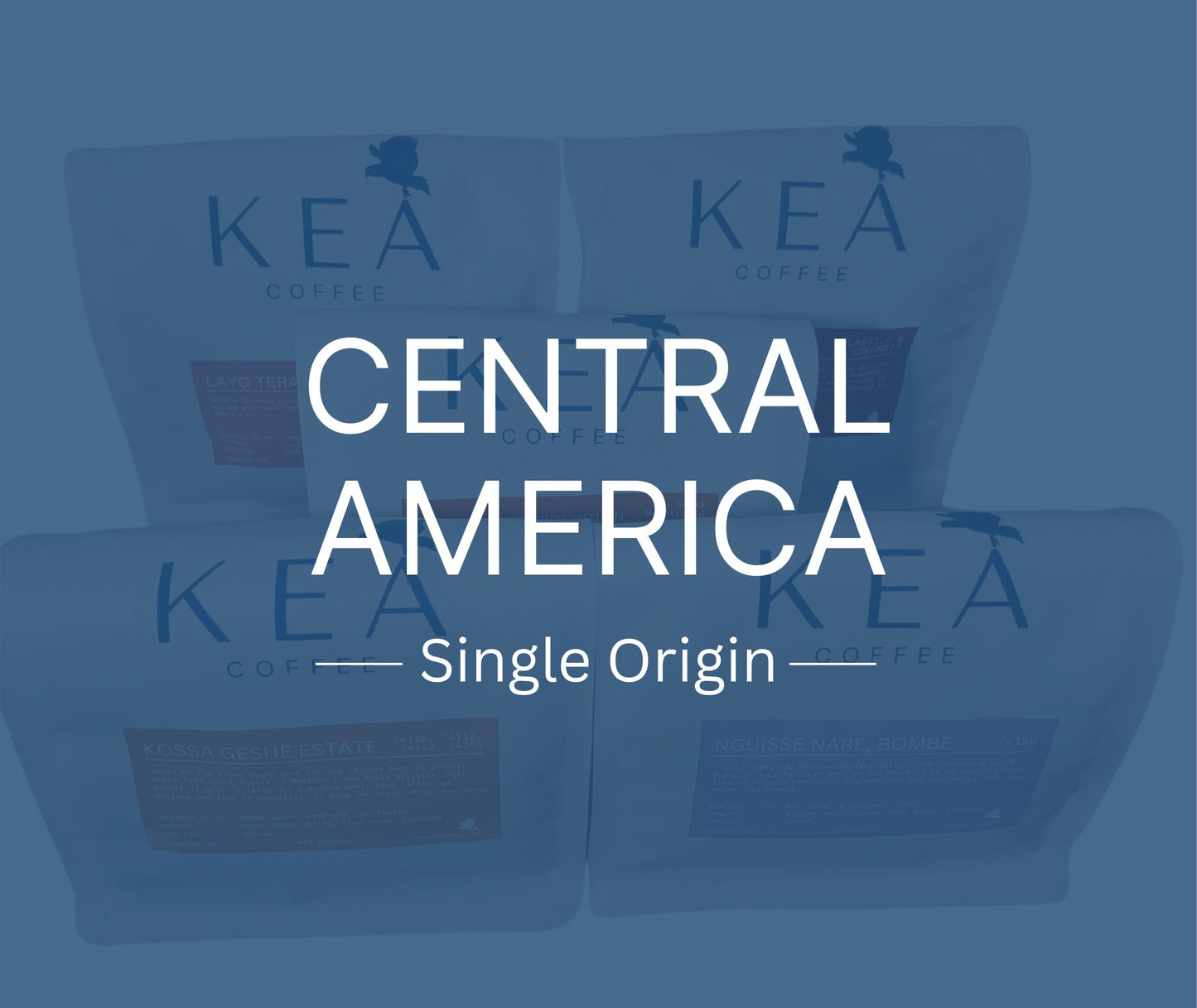 Subscription - South & Central America, Single Origin
