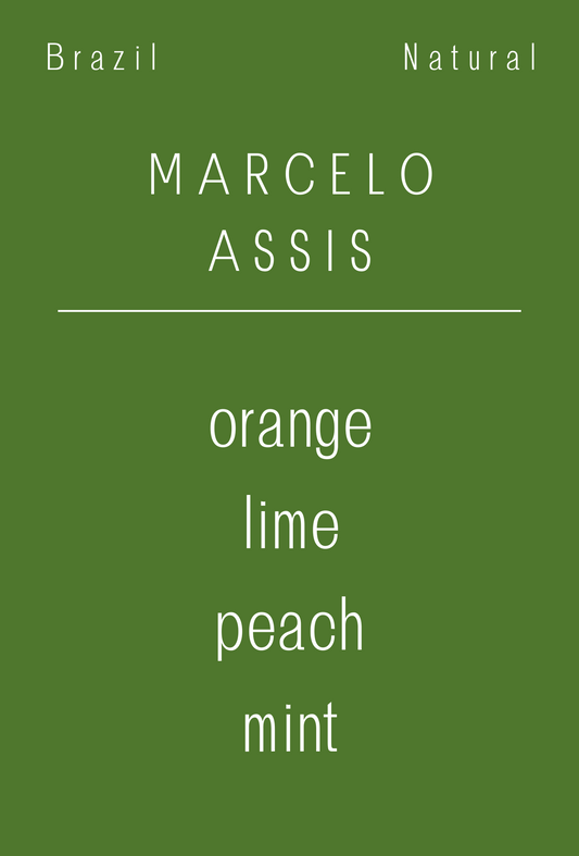 Brazil - Marcelo Assis | Natural | Paraiso