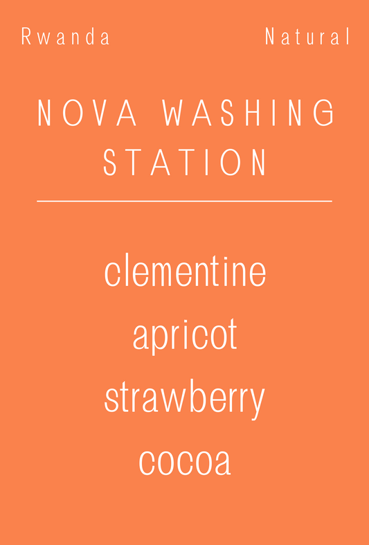 Rwanda - Nova Washing Station | Natural | Bourbon