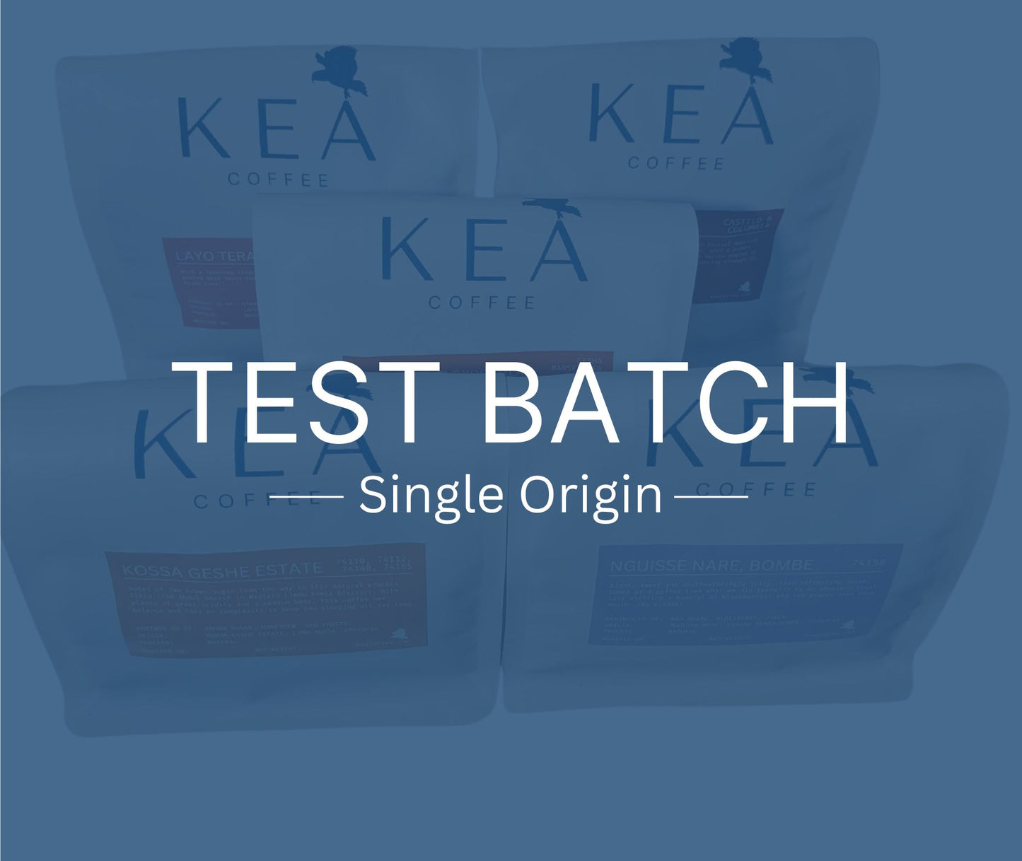 Test Batch