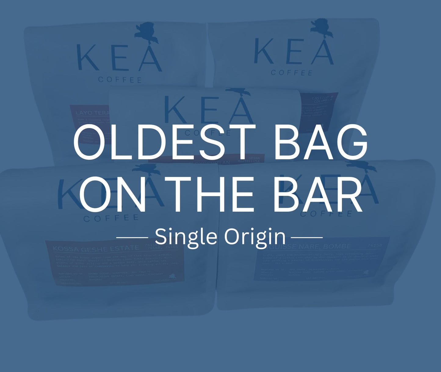 Oldest Bag On The Bar