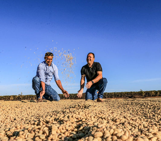 Farm Stories: Bioma Cafe, by Marcelo Assis