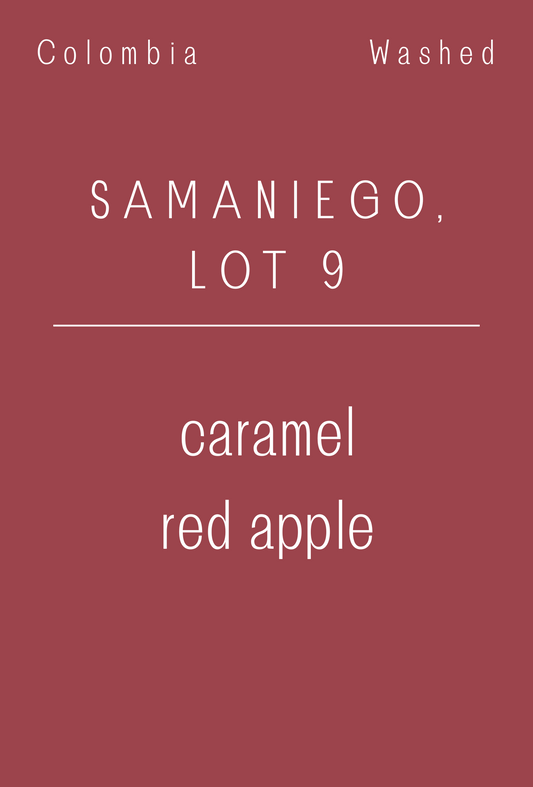 Colombia - Federación Abades, Samanigo Lot 9 | Washed