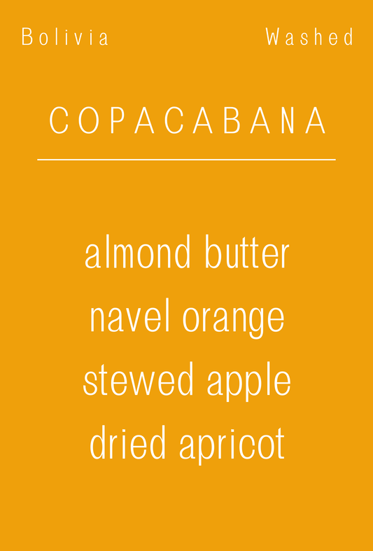 Bolivia - Copacabana Women's Blend | Caturra + Catuai Washed