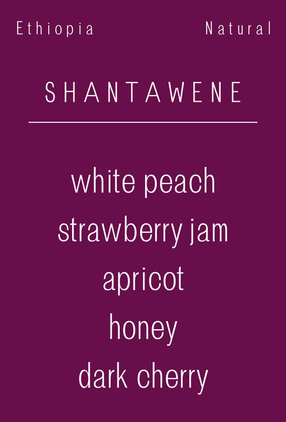 Ethiopia - Shantawene Natural