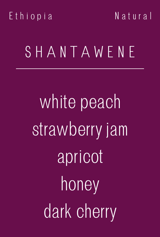 Ethiopia - Shantawene Natural