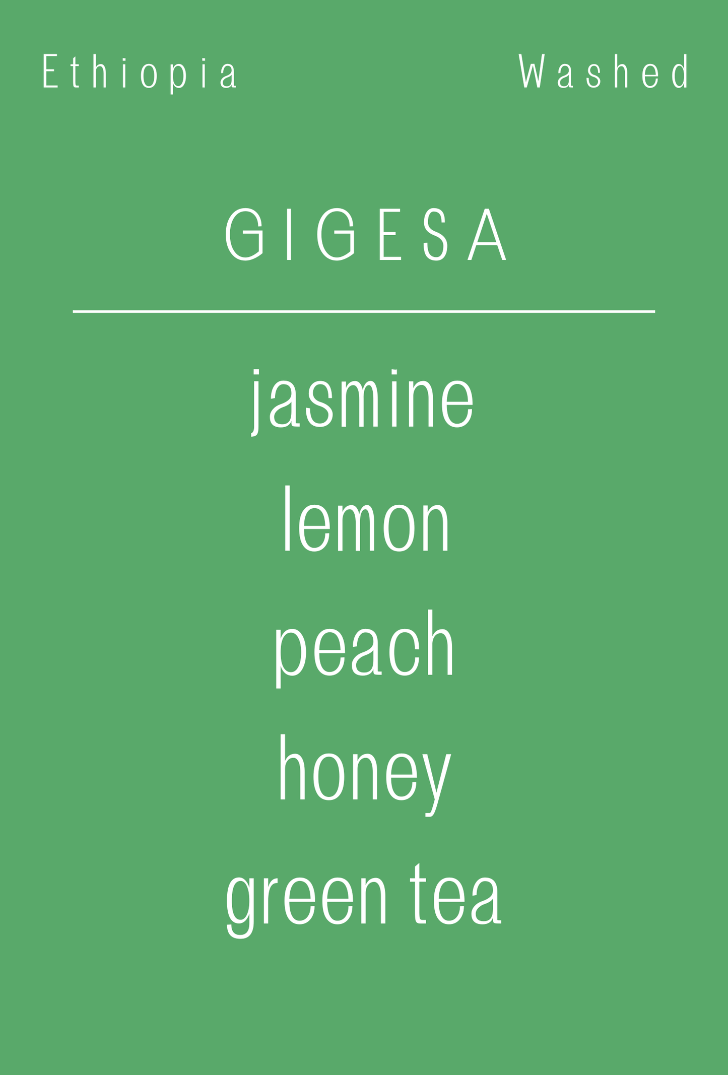 Ethiopia - Gigesa | Washed