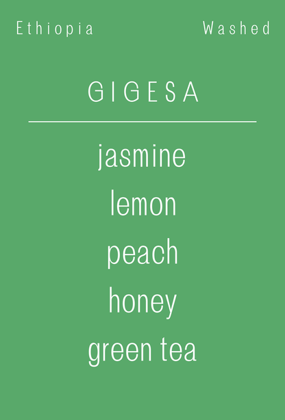 Ethiopia - Gigesa | Washed