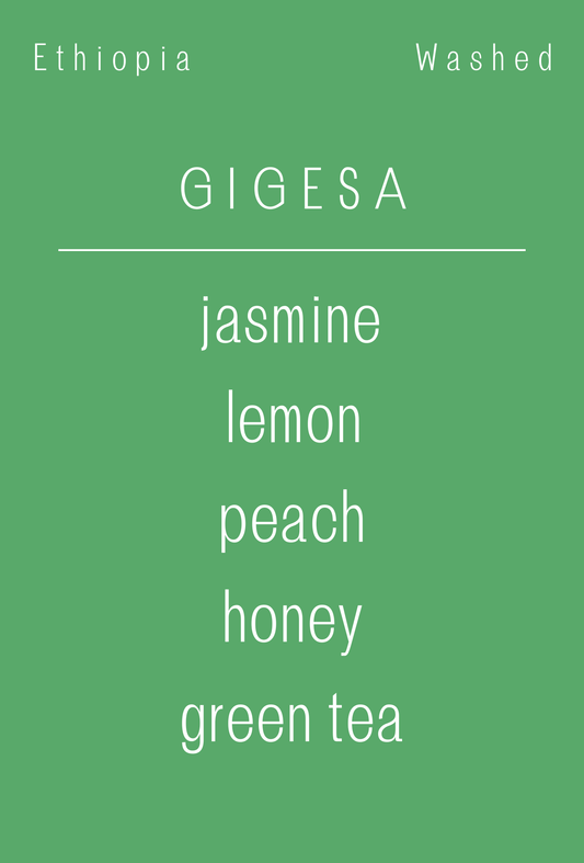 Ethiopia - Gigesa | Washed