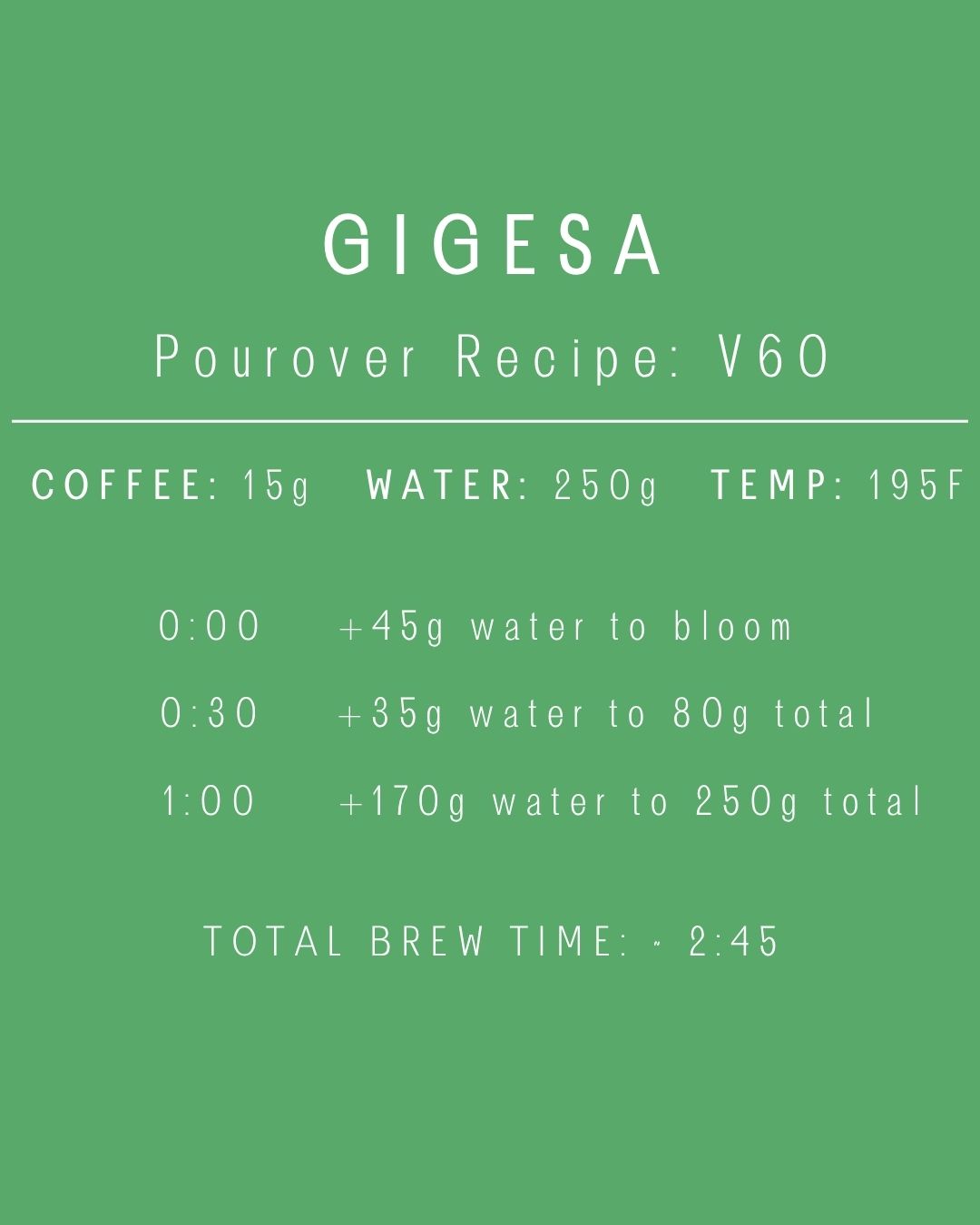 Ethiopia - Gigesa | Washed