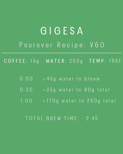 Ethiopia - Gigesa | Washed