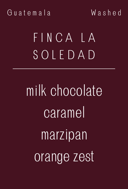 Guatemala - Finca La Soledad | Washed Caturra - Lot 1