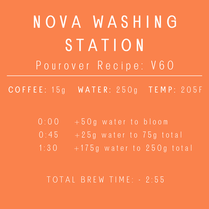 Rwanda - Nova Washing Station | Natural | Bourbon
