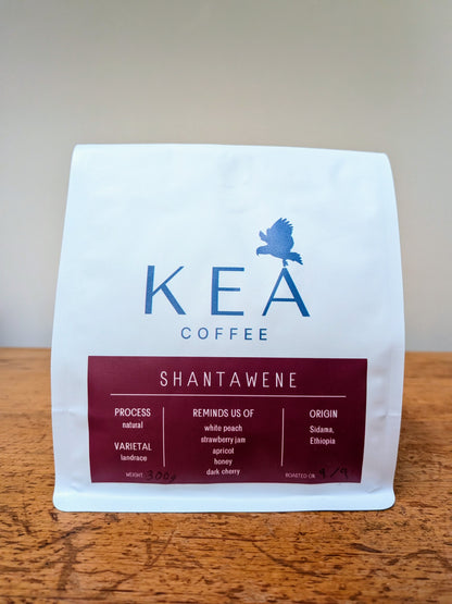 Ethiopia - Shantawene Natural