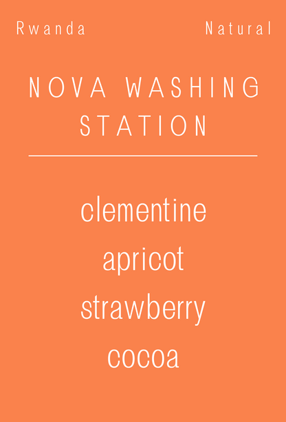 Rwanda - Nova Washing Station | Natural | Bourbon