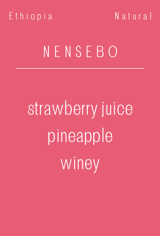 Ethiopia - Nensebo | Natural