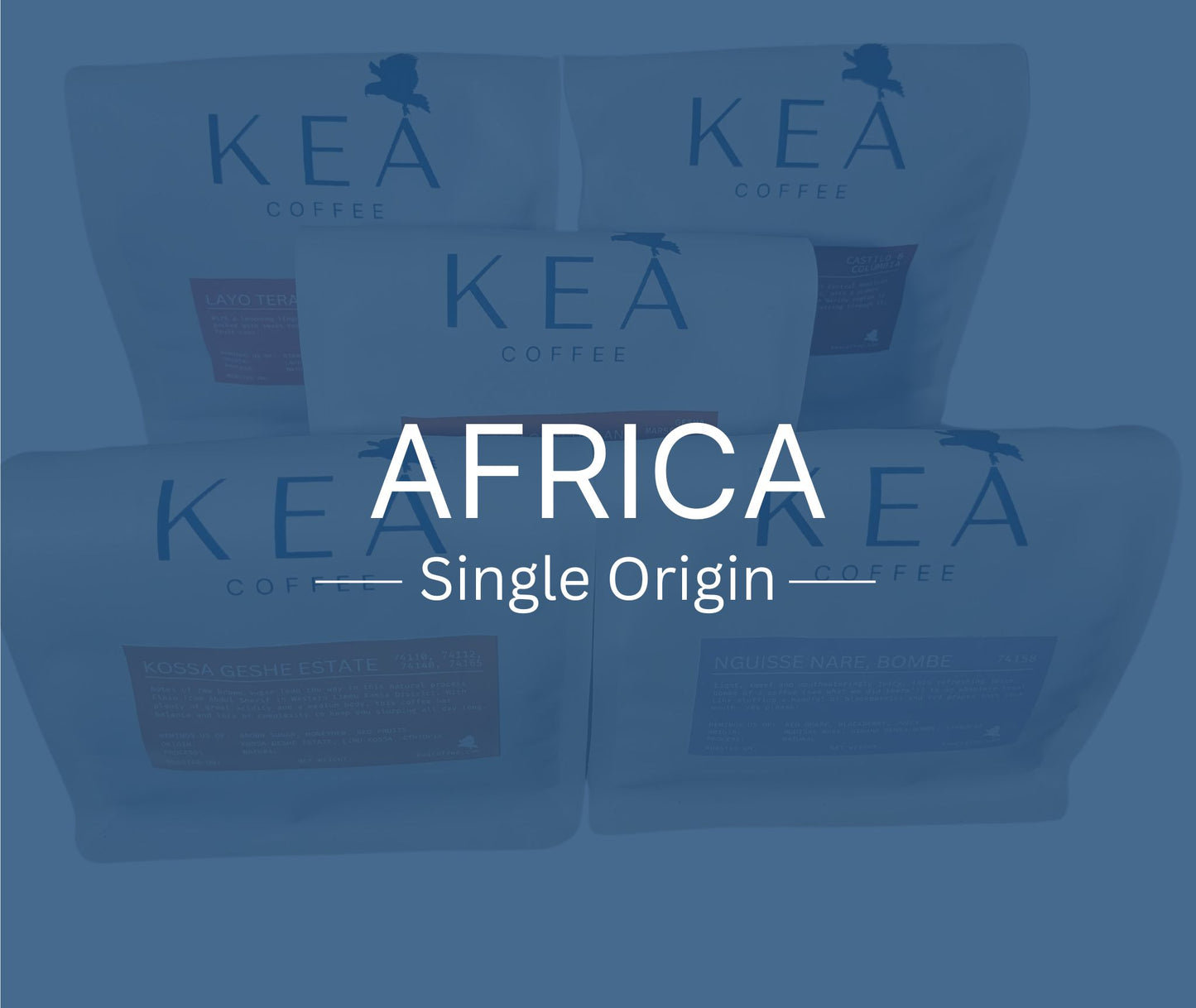 Subscription - Africa, Single Origin